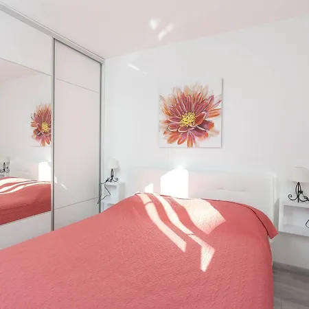 Damira Apartament